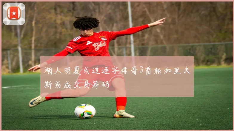 湖人明夏或追逐字母哥3首轮加里夫斯或成交易筹码